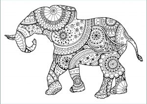 Coloriage Elephant Mandala Cool Photographie Eléphant Avec Motifs Zentangle Et Paisley Eléphants