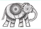 Coloriage Elephant Mandala Inspirant Photographie Meilleur Pour Dessin Elephant Mandala A Imprimer