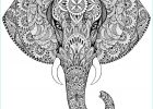 Coloriage Elephant Mandala Luxe Image 12 Élégant De Mandala Pliqué Galerie En 2020