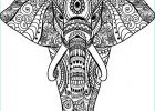 Coloriage Elephant Mandala Luxe Stock Zentangle Animals Google Søgning