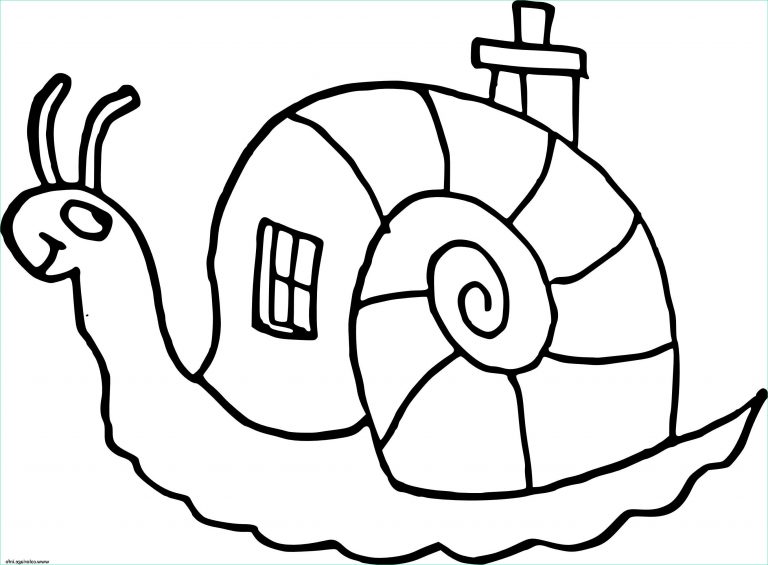 13 Nouveau De Coloriage Escargot Maternelle Photos  Coloriage  Coloriage