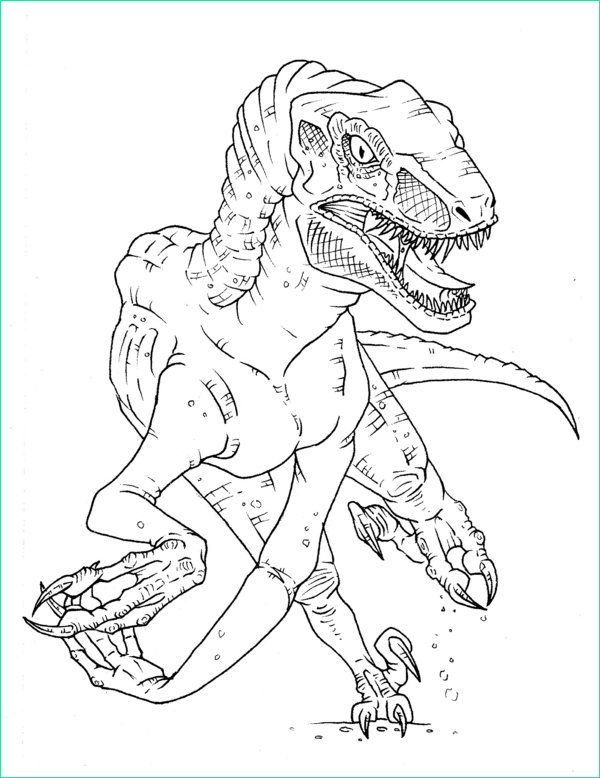 Coloriage Jurassic World Élégant Galerie Velociraptor Coloring Pages Coloring Home