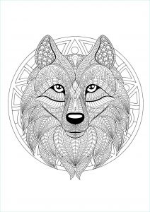 Coloriage Mandala Luxe Photos Mandala with Geometric Patterns and Wolf Head Full Of