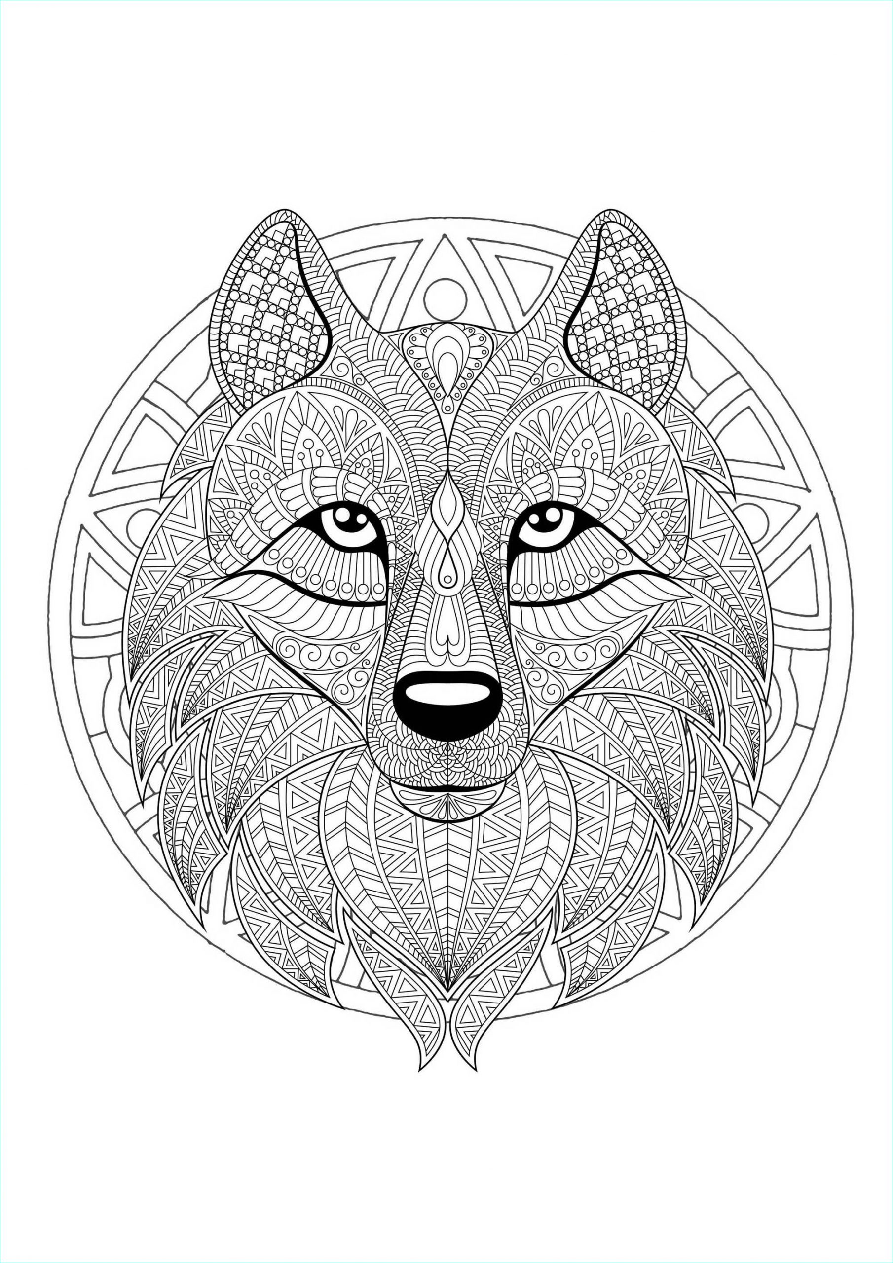 Coloriage Mandala Luxe Photos Mandala with Geometric Patterns and Wolf Head Full Of