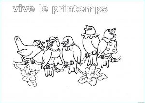 Coloriage Oiseaux Printemps Beau Photos Coloriage Maternelle Printemps Bestof S Coloriage