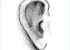 Coloriage oreille Impressionnant Collection Le Blogue Des 100 Dessins Une oreille