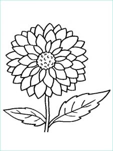 Coloriage Plantes Impressionnant Photographie Flower Coloring Pages for Adults Pdf with Images