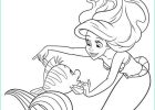 Coloriage Princesse Ariel Nouveau Photographie Coloriage Disney Princesse Ariel La Petite Sirene Dessin