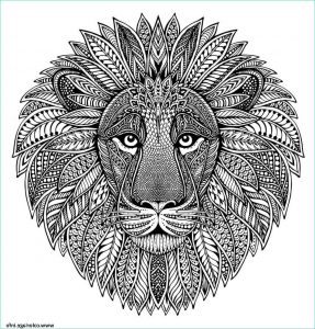 Coloriages Mandala Animaux Beau Collection Coloriage Mandala Animaux Adulte Tete De Lion Jecolorie