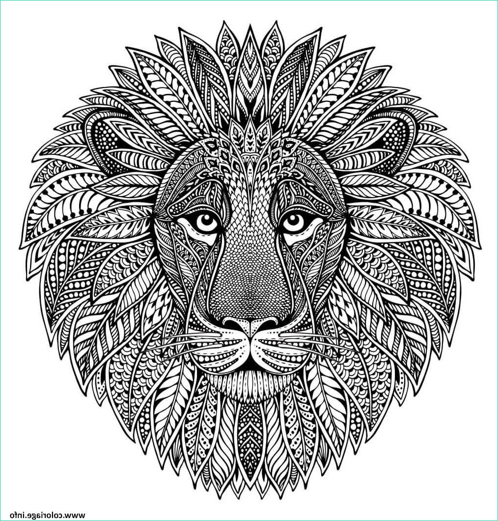 Coloriages Mandala Animaux Beau Collection Coloriage Mandala Animaux Adulte Tete De Lion Jecolorie