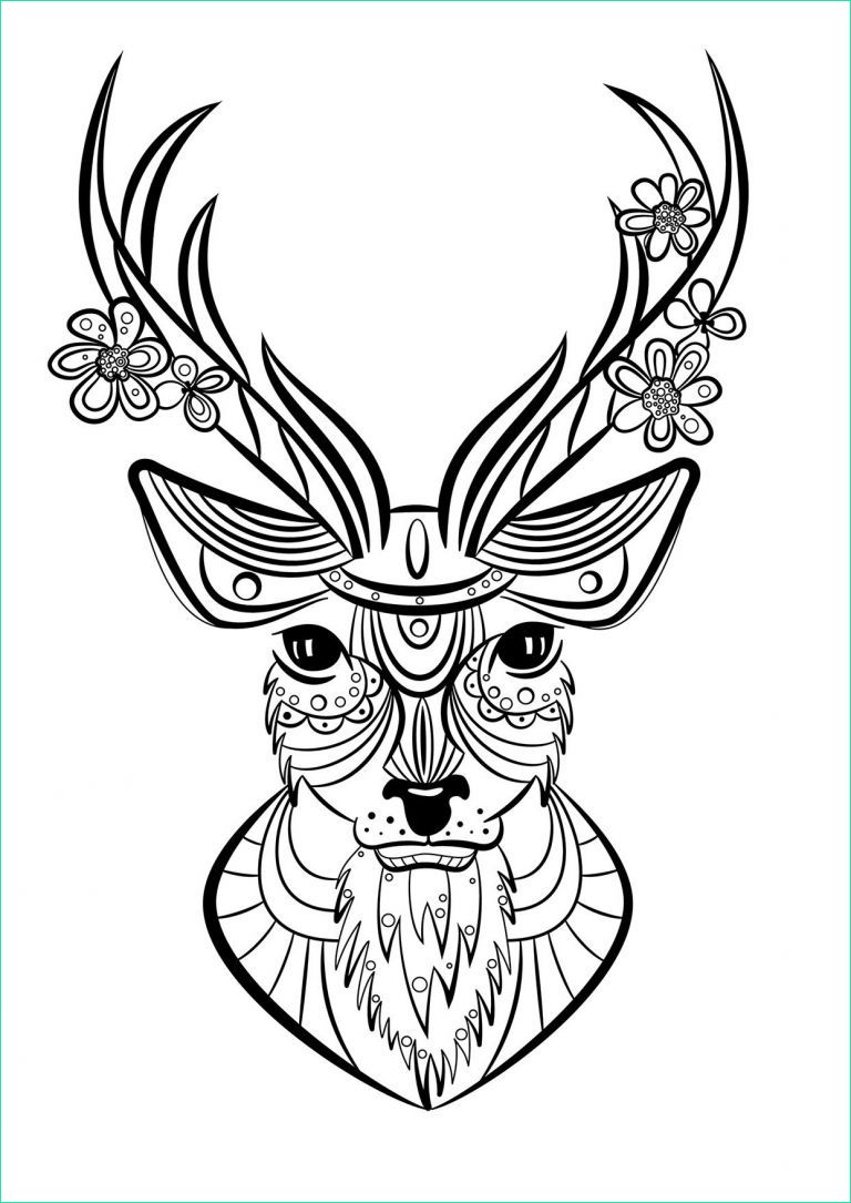 Coloriages Mandala Animaux Luxe Galerie Coloriage Animaux Facile Inspirant Stock Coloriage Animaux