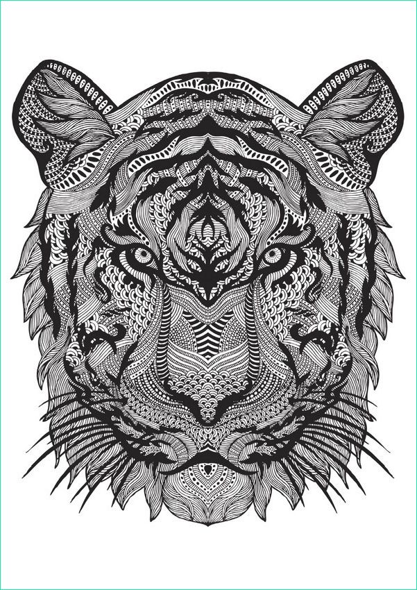 Dessin A Colorier Animaux Beau Collection Coloriage Anti Stress Zen Tigre Dessin Gratuit à Imprimer