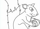 Dessin A Colorier Animaux Bestof Collection Coloriage Animaux Ecureuil 03 10 Doigts
