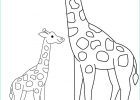 Dessin A Colorier Animaux Impressionnant Collection Coloriages à Imprimer Girafe Numéro