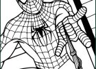 Dessin à Colorier Spiderman Cool Photographie Coloriage Spectacular Spiderman