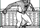 Dessin à Colorier Spiderman Cool Stock Coloriage Spiderman Maternelle