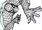 Dessin à Colorier Spiderman Élégant Photos Coloriage Magique Spiderman Imprimer