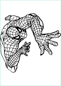 Dessin à Colorier Spiderman Élégant Photos Coloriage Magique Spiderman Imprimer