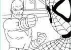 Dessin à Colorier Spiderman Impressionnant Image Spiderman Colorier Spiderman S Animes