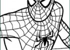 Dessin à Colorier Spiderman Nouveau Photos Coloriage Spiderman En Vecteur Dessin Gratuit à Imprimer