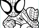 Dessin à Colorier Spiderman Unique Photographie Coloriage Spiderman Facile à Imprimer Sur Coloriages Fo