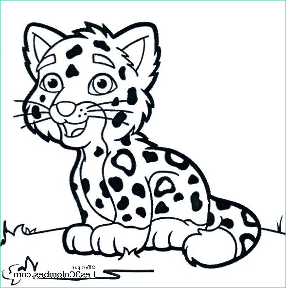 Dessin Animaux à Imprimer Impressionnant Images Coloriage Petit Tigre Dessin Gratuit à Imprimer