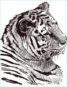 Dessin Animaux à Imprimer Inspirant Photos Dessin à Colorier Gratuit Félin Tigre Artherapie