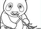 Dessin Animaux à Imprimer Unique Photographie Coloriages à Imprimer Panda Numéro 9ed6fbc9