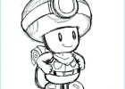 Dessin Capitaine Luxe Photographie Coloriage Capitaine toad