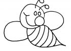 Dessin Citrouille Inspirant Images Citrouille 78 Objets – Coloriages à Imprimer