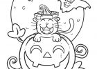 Dessin Citrouille Unique Images Cantinho Do Primeiro Ciclo Desenhos De Halloween Para Pintar