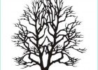 Dessin D&#039;arbre Sans Feuille Simple Beau Photos Sticker Arbre D Automne Sans Feuilles 30x20cm Achat