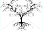 Dessin D&#039;arbre Sans Feuille Simple Beau Photos Vecteurs De Arbre Sans Silhouette Feuille Vecteur