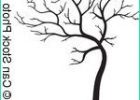 Dessin D&#039;arbre Sans Feuille Simple Cool Photos Art Et Illustrations De Sans 20 222 Clip Art Vecteur Eps