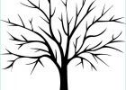 Dessin D&#039;arbre Sans Feuille Simple Élégant Stock 17 Simple Dessin Arbre Sans Feuille Pics Di 2020 Dengan
