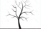 Dessin D&#039;arbre Sans Feuille Simple Luxe Galerie Arbre Sans Feuilles Image Stock Image Du Flore Durée