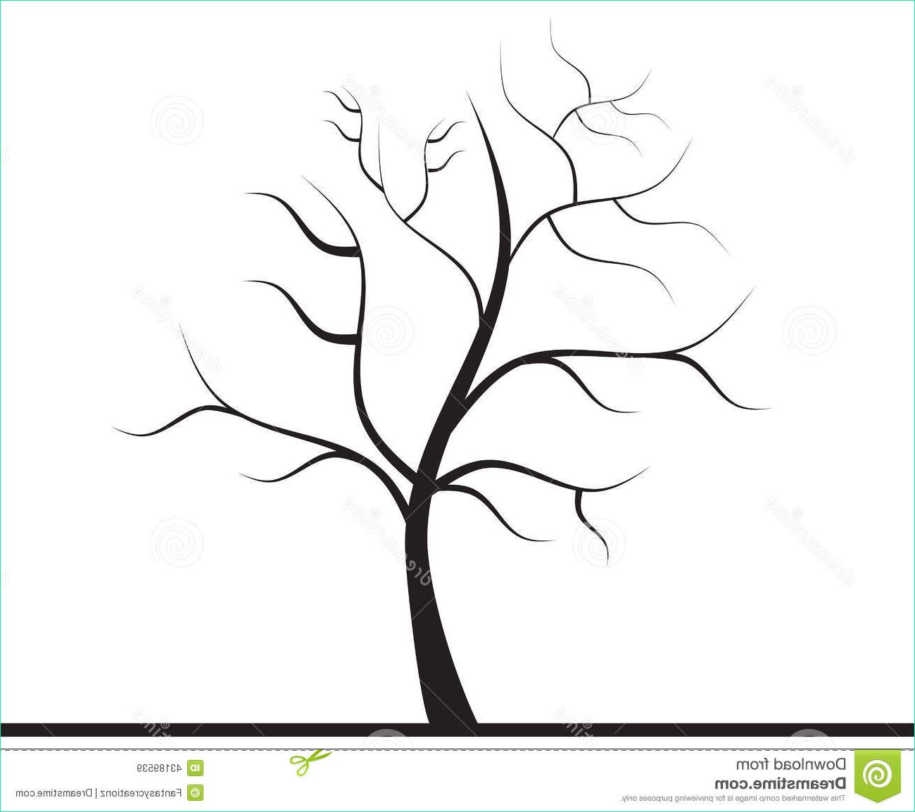 Dessin D&amp;#039;arbre Sans Feuille Simple Luxe Galerie Arbre Sans Feuilles Image Stock Image Du Flore Durée