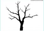Dessin D&#039;arbre Sans Feuille Simple Unique Collection Dessin D Arbre Sans Feuille A Imprimer Ce Dessin A été Mis à