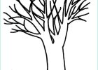 Dessin D&#039;arbre Sans Feuille Simple Unique Image Coloriage D Arbre Sans Feuille – Zimmpel