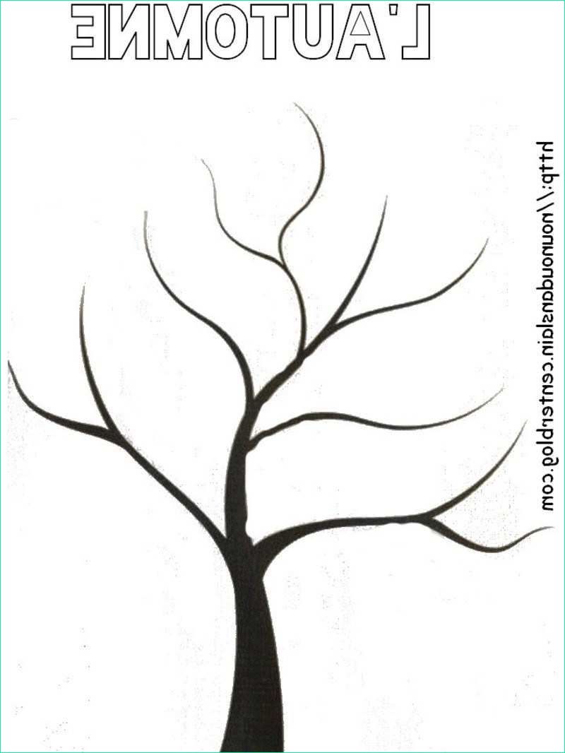 Dessin D&amp;#039;arbre Sans Feuille Simple Unique Stock Ides De Dessin Arbre Sans Feuille A Imprimer Galerie