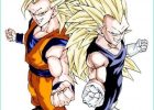 Dessin De Dragon Ball Z Sangoku Et Vegeta Unique Photos Goku and Ve A Ss3