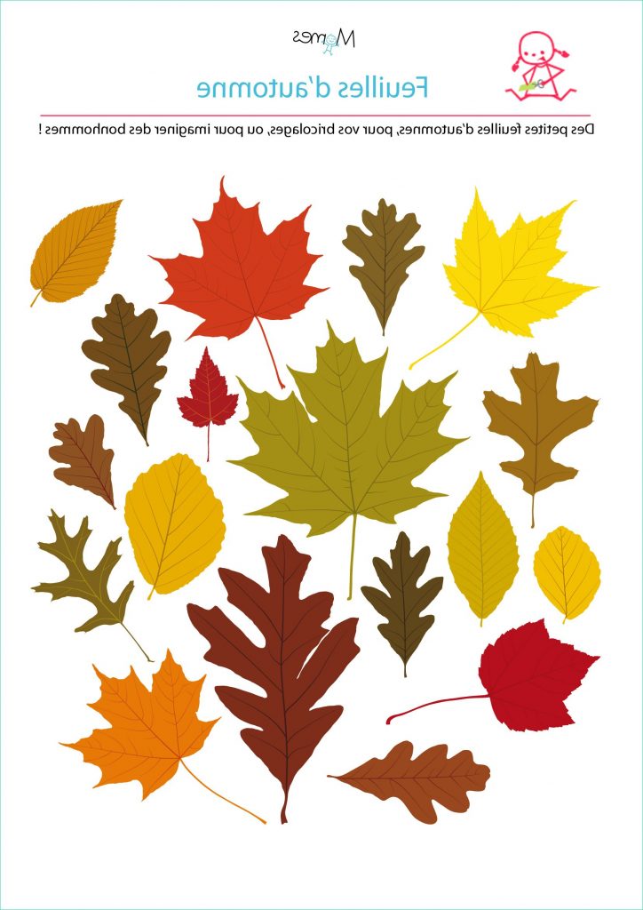 Modeles De Feuilles D'automne A Imprimer Dessin Feuilles Automne Luxe Images Modèle De Feuille D Automne Momes