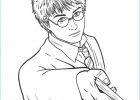 Dessin Gryffondor Élégant Images Coloriage Harry Potter Gryffondor Beau Galerie Dessin De