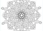 Dessin Madala Cool Stock Zen & Anti Stress Mandala Mandalas with Flowers
