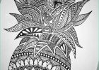 Dessin Madala Impressionnant Image Résultat De Recherche D Images Pour "pineapple Drawing