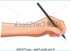 Dessin Main Qui écrit Unique Collection Vector Female Hand with A Pen Wrote A Message On A
