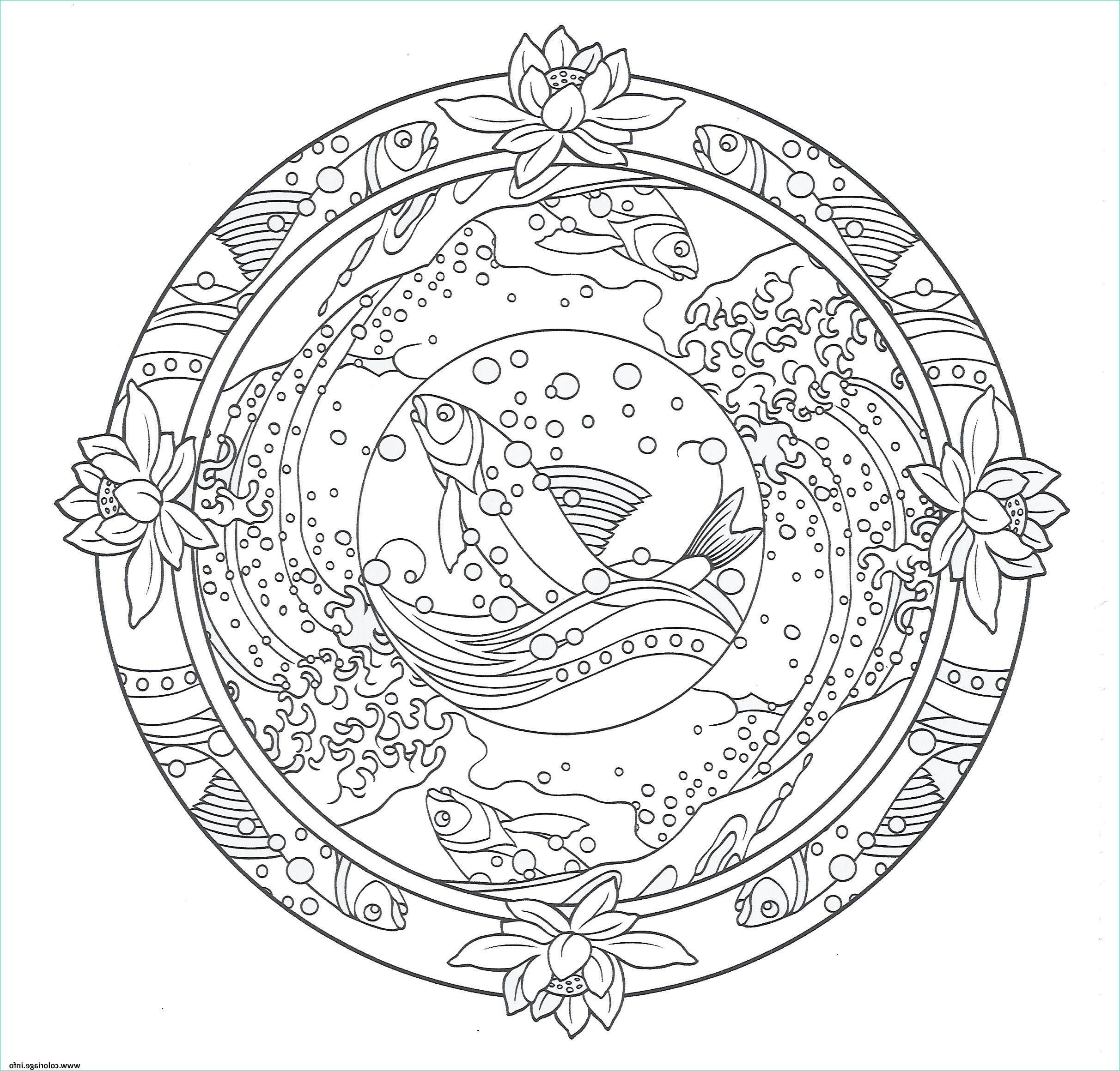 Dessin Océan Élégant Collection Frais Coloriage Mandala Difficile Cm1 Fleur