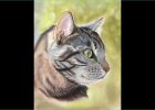 Dessin Thé Unique Image [pastels Secs] Dessin De Chat &quot;speed Drawing&quot;