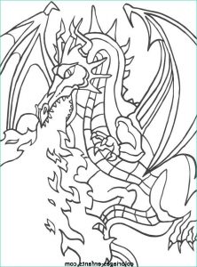 Dragon Coloriage Beau Collection Coloriage Dragon à Imprimer Pour Les Enfants Cp