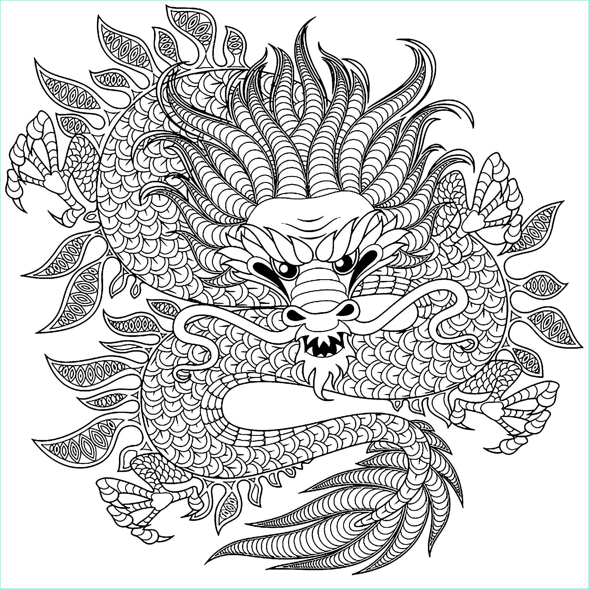 Dragon Coloriage Impressionnant Images Dragon Circulaire Dragons Coloriages Difficiles Pour